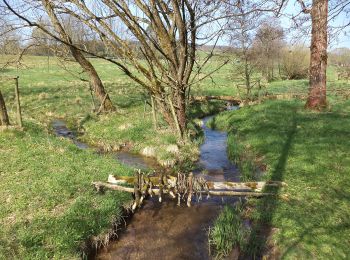 Tocht Te voet Jossgrund - Junge Jossa Lettgenbrunn ( Spessartfährten ) - Photo