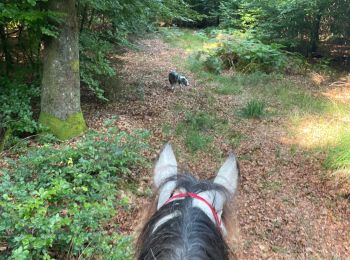 Tour Reiten Habich - Tucker avec les dadous 1ère fois - Photo