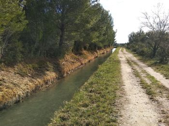 Excursión Senderismo Mouriès - caisses de jean jean/canal des baux - Photo