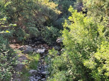 Trail Walking Las Condes - Los Peumos - Photo