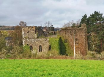Tour Wandern Viroinval - Balade dans le Viroinval - Olloy - Photo