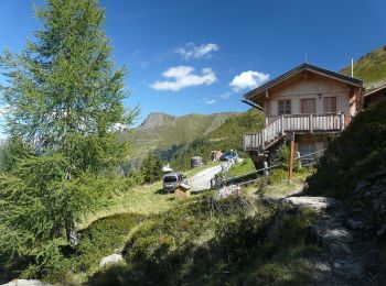 Tocht Te voet San Pietro di Cadore - AT-172 - Photo