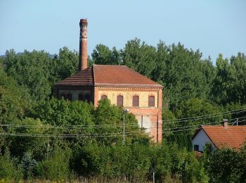 Tocht Te voet Aitrach - Aitracher Illerweg - Photo