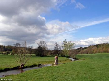 Tocht Stappen Nogent-le-Rotrou - SityTrail - Nogent-le-Rotrou - Saint-Victor-de-Buthon 19 km - Photo