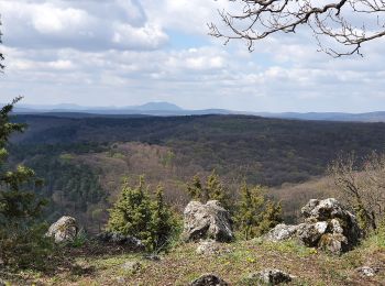 Tocht Te voet okres Piešťany - Náučný chodník ŠTERUSY - REBRO - SPROSNÁ - ORLIE SKALY - Photo