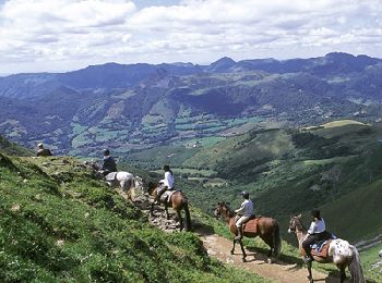 Excursión Caballo Mandailles-Saint-Julien - TDV-Mandailles-Polminhac - Photo