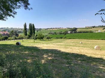 Trail Hybrid bike Herve - Cirkwi-Ravel_ligne_38_et_retour_par_chemins_de_campagne - Photo