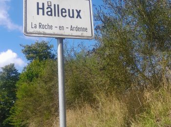 Tocht Stappen La Roche-en-Ardenne - Marche ADEPS Halleux. - Photo