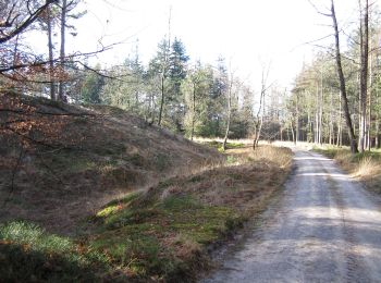 Randonnée A pied Apeldoorn - paleis 't Loo 