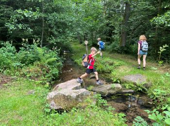 Tour Wandern Bad Wildbad - Kleinenzhof forellenpark - Photo