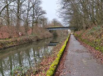 Tocht Stappen Nancy - Balade du jour  - Photo