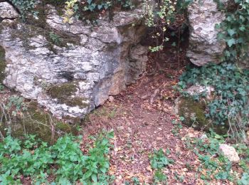 Trail Walking Pouilley-les-Vignes - Pouilley les vignes - Photo