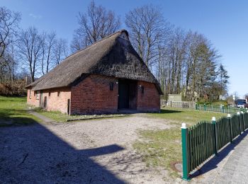 Percorso A piedi Fockbek - Rundweg Fockbeker Moor - Photo