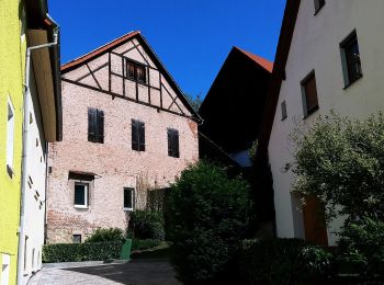 Trail On foot Wiesenttal - Muggendorf-Oswaldhöhe-Hohes Kreuz-Engelhardsberg - Photo