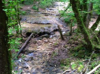 Trail Walking Cerdon - Cerdon Cascade de la Fouge - Photo