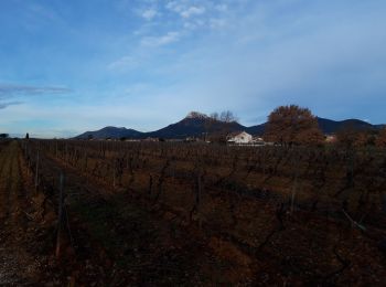 Tocht Stappen La Crau - Le Fenouillet-La Crau-31-01-21 - Photo