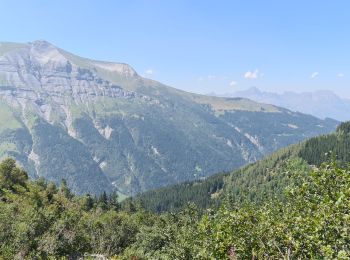 Trail Walking Les Contamines-Montjoie - Le Lay - Combe d'Armancette - Photo
