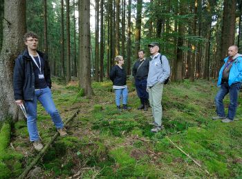 Randonnée A pied Kirchzell - Rundwanderweg Kirchzell Wildschweinfütterung 9: Hainbuche-Weg - Photo