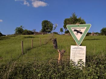 Excursión A pie Schaafheim - Rundwanderweg Schaafheim 3 : Richelieu-Weg - Photo