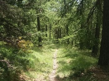 Tocht Stappen Puy-Saint-Eusèbe - testt - Photo