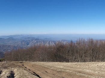 Excursión A pie Cantalupo Ligure - Cantalupo Ligure – Monte Giarolo - Photo