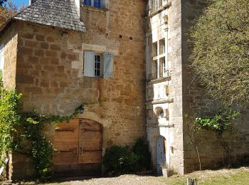 Tour Wandern Turenne - Turenne Meyssac - Photo