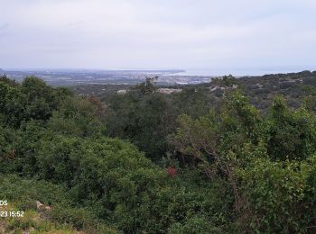 Tocht Stappen Fabrègues - Massif de la Gardiole 34 - Photo