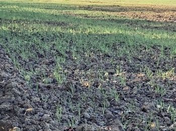 Randonnée Marche Mézidon Vallée d'Auge - St Marie aux Anglais - Photo