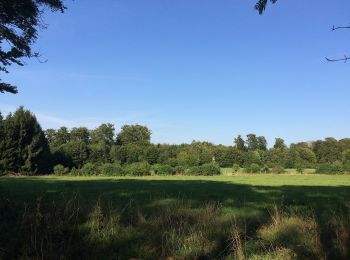 Tour Zu Fuß Söhrewald - Söhrewald, Rundweg 1 - Photo