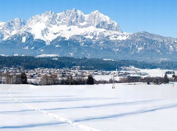 Trail On foot Gemeinde Oberndorf in Tirol - Dorfbachrunde - Photo