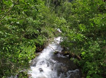 Tour Wandern Mallnitz - Dösener - Photo