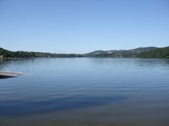 Excursión A pie Auriac-Lagast - Ronde des lacs du Levezou - Photo