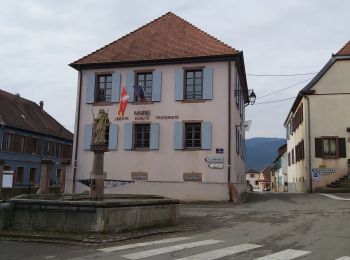 Randonnée Marche Osenbach - Circuit découverte Osenbah - Photo