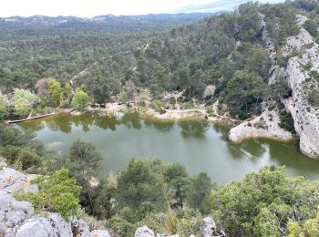 Excursión Senderismo Saint-Rémy-de-Provence - Le mont Gaussien saint Rémy de Provence - Photo