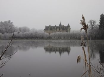 Trail On foot Carquefou - Les Bords de l'Erdre - Photo