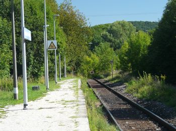 Tocht Te voet Simmelsdorf - Simmelsdorfer Rundwanderweg Grün 3 - Photo