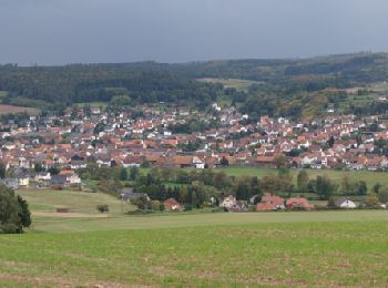 Excursión A pie Wartenberg - Wartenberger Rundweg 2 - Photo