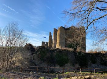 Randonnée Marche Theux - Theux Natura 2000 château Franchimont - Photo