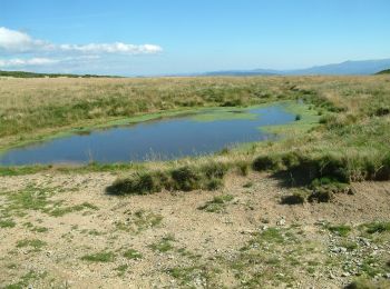 Tour Zu Fuß  - Pietroasa-Casc. Săritoarea Bohodei-Șaua Bohodei - Photo