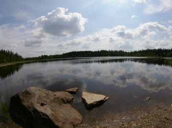 Tocht Te voet Onbekend - Gul 9 km - Photo