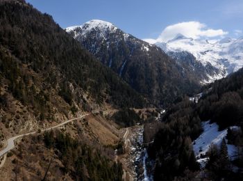 Percorso A piedi Termen - Rosswald-Saflischpass - Photo