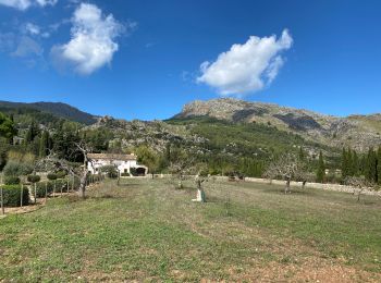 Tocht Stappen Escorca - GR221 # Lluc - Pollença - Photo