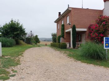 Trail Walking Redecilla del Camino - 2023 11 villafrancia - Photo