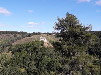 Tocht Elektrische fiets Le Puy-en-Velay - stevenson2 - Photo