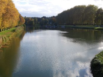 Percorso Marcia Châtillon-sur-Loire - Châtillon-sur-Loire - Photo