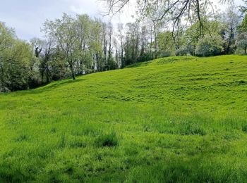 Tocht Stappen Dalhem - La voie des Moulyniers (5,6km) - Photo