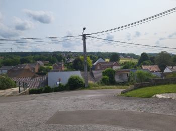 Trail Walking Fosses-la-Ville - Vitrival 030625 - Photo