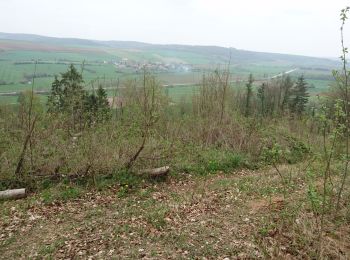 Excursión Senderismo Sapogne-et-Feuchères - Sapogne 2019-4-09 - Photo