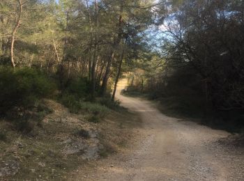 Randonnée Marche Le Rouret - Le Rouret 19/02/2019 - Photo