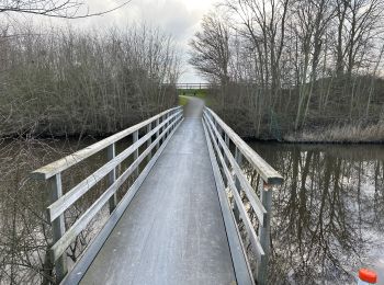 Tour Wandern Sluis - Retranchement Cadzand 16,7 km - Photo